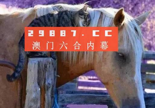 澳门香港一肖一码一中一特免费公开-精选解释解析落实