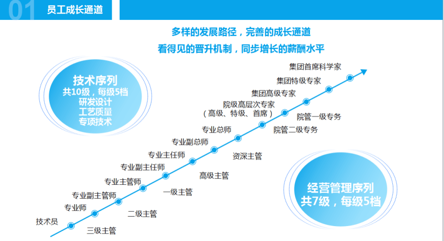 广东省职称申报与管理系统，构建高效、透明的职业发展路径