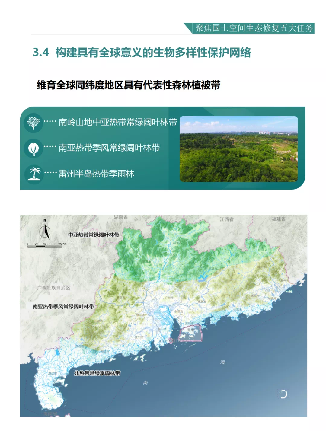 广东省国有林场的现状与发展展望